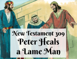 NT 309 - Peter Heals a Lame Man